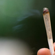 Illustration for article titled Your Netherlands Weed Tour Has Officially Been Canceled